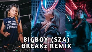 DJ BIGBOY (SZA) Breakz Remix X Hai Apa Apa Viral Tiktok 2023