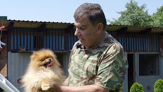 Mali psi Vjeki donesu još jednu penziju