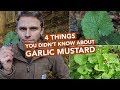 4 Things You Didn't Know About Garlic Mustard