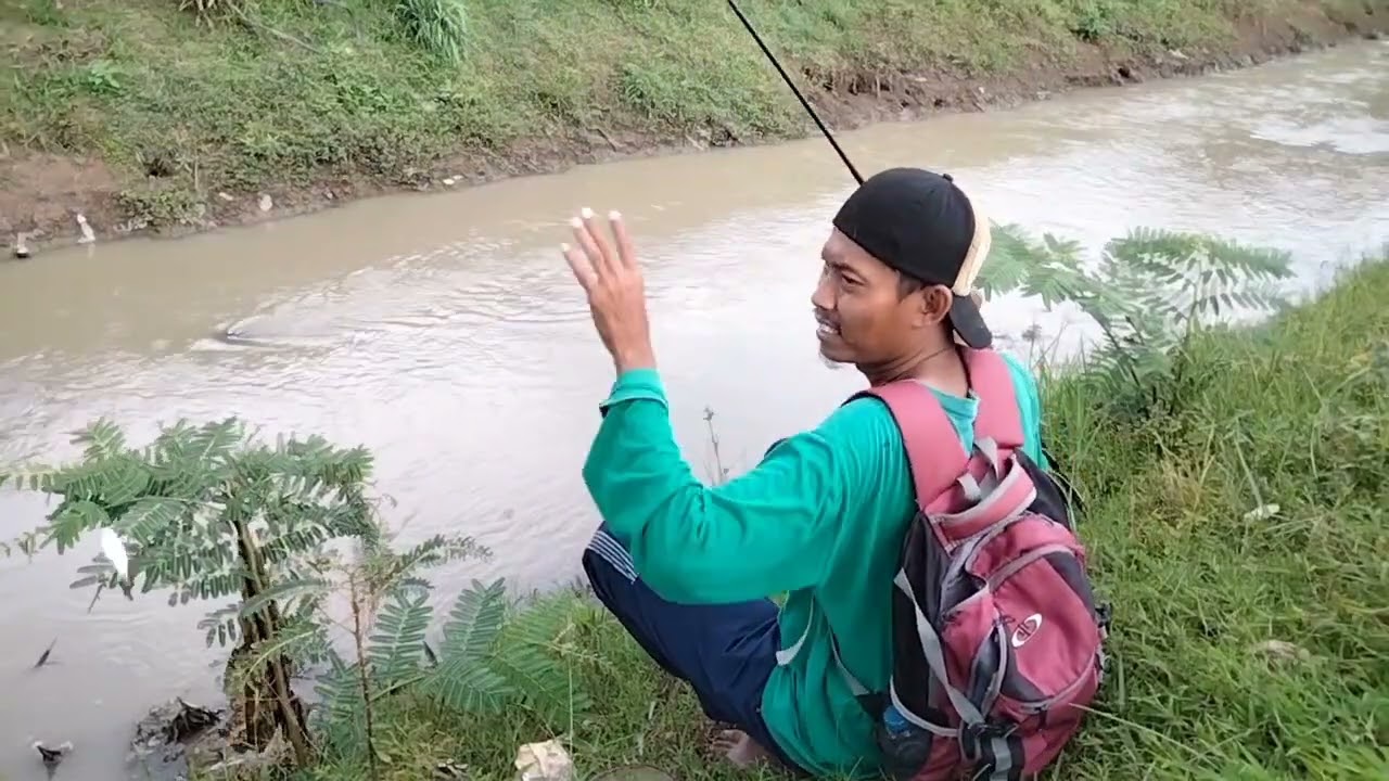 Hujan pas lagi Gacor Gacor nya.... 🥴🥴🥴