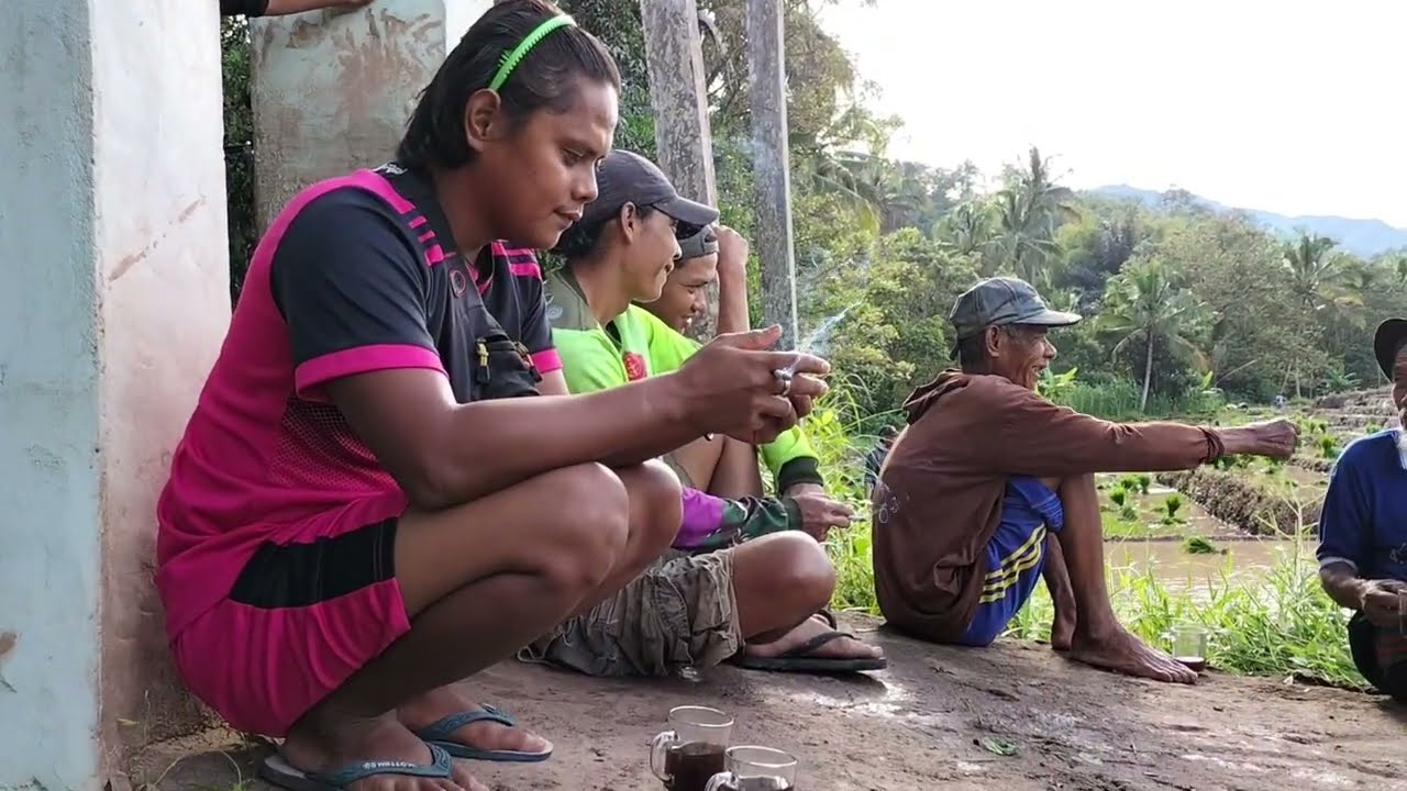 Kehidupan Didesa | Menanam Padi Didesa Terpencil.