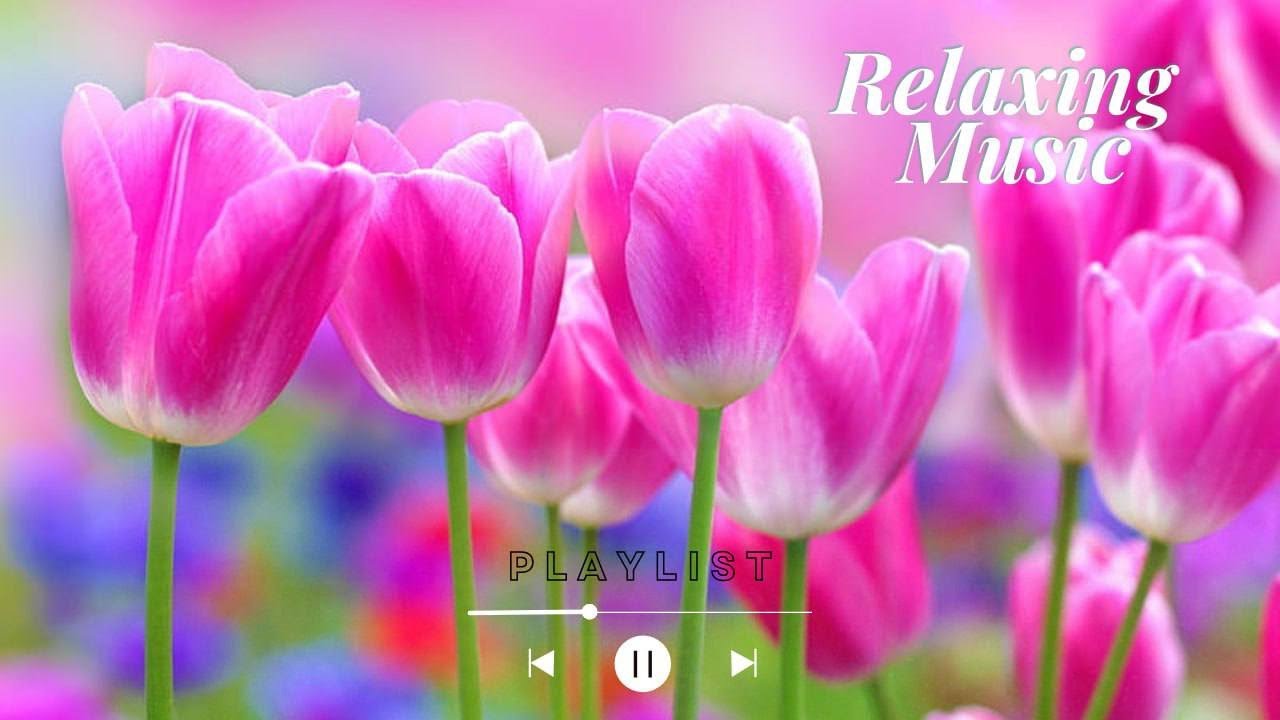 SOOTHING RELAXING SONG🌼🌼 Flute Sound With Soft Piano and Deep Bass Music for the soul.