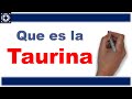 Que es la Taurina