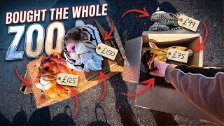 Going All IN On Zoo Animals - CarBoot POV.