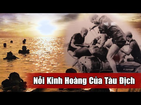 Video Những Lần Đặc Công Hải Quân Việt Nam Làm Gỏi Tàu Vận... - youtube