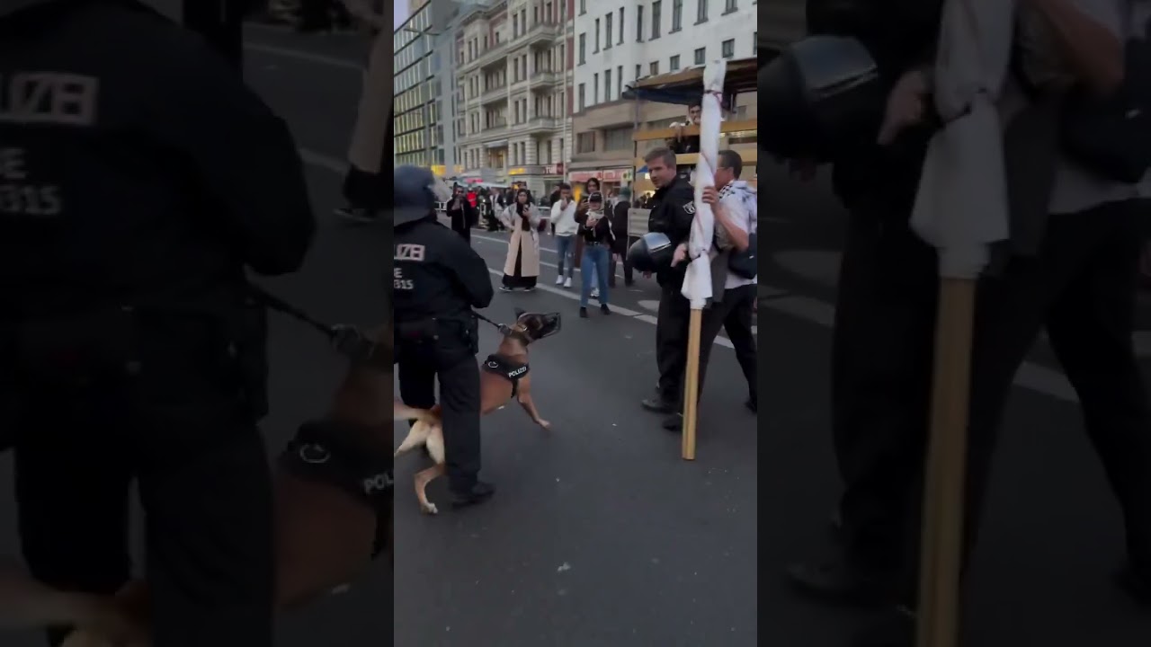 German police unleashing dogs at pro-Palestine protesters