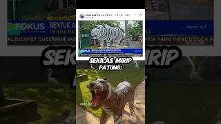 #cgsong 😂