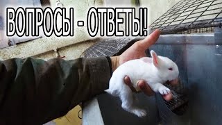 видео: ОБЗОР ХОЗЯЙСТВА ОКТЯБРЬ 2023 картинка: ОБЗОР ХОЗЯЙСТВА ОКТЯБРЬ 2023