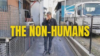👤 Japan's Most Marginalized Group