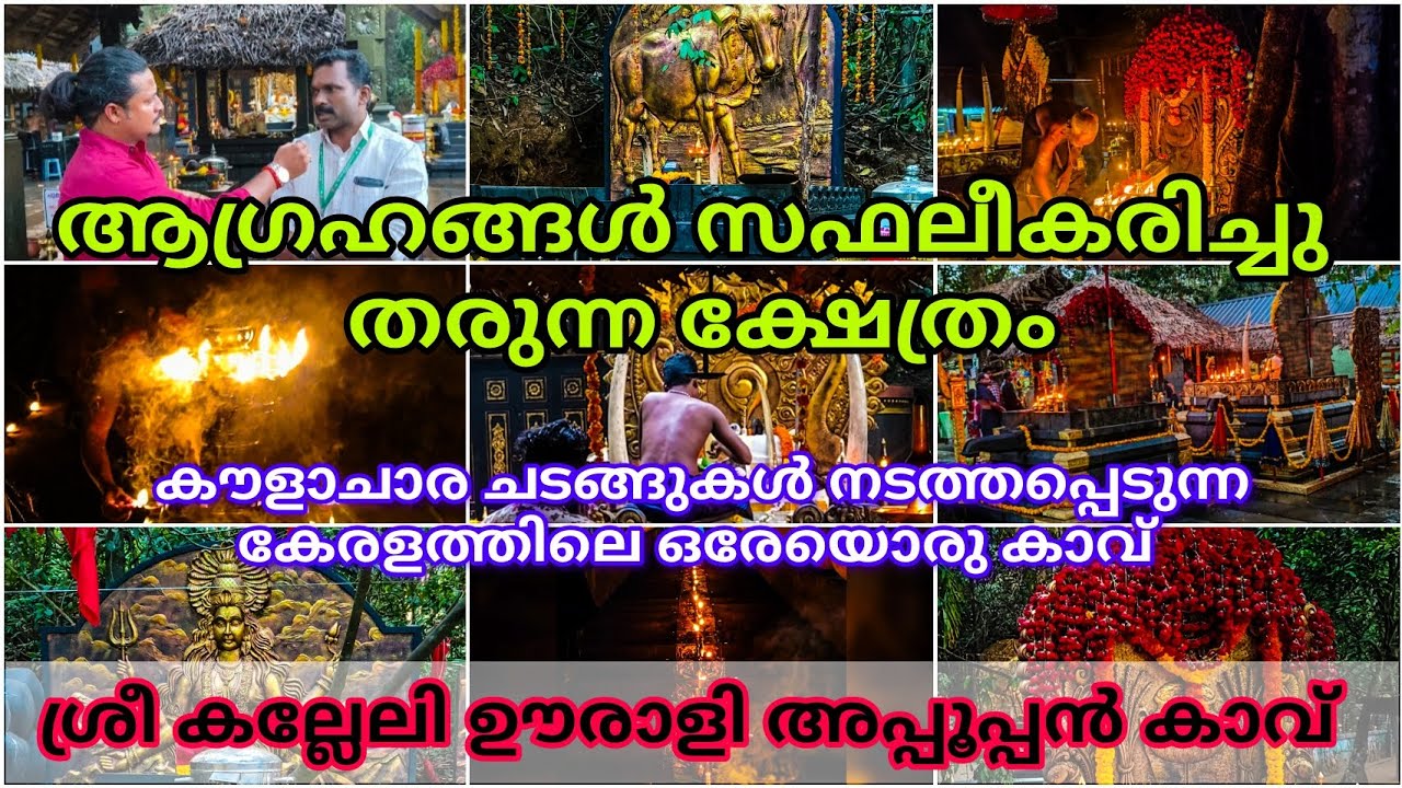 📍ശ്രീ കല്ലേലി ഊരാളി അപ്പൂപ്പൻ കാവ്...🙏🏻🤞🏻