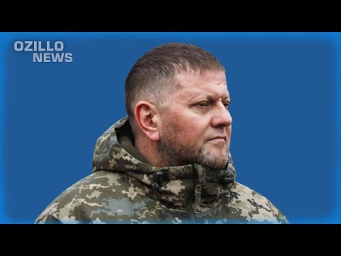 Video: Deltaker i den væpnede konflikten i det østlige Ukraina Arseniy Pavlov - biografi og interessante fakta