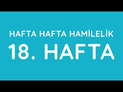 18.Hafta - Hafta Hafta Gebelik - Hamilelik | Anneysen.com