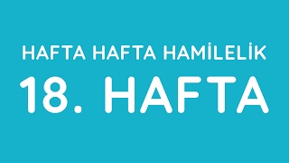 Download lagu 18 Hafta Hafta Hafta Gebelik Hamilelik Anneysen com 18 Hafta Hafta Hafta Gebelik Hamilelik Anneysen com