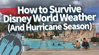 How To Survive Disney World Weather (And Hurricane Season)