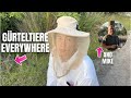 I left hiking in germany to walk in florida and get eaten by bugs