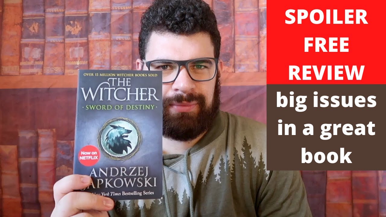 the witcher book review reddit