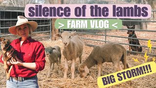 Silence of the lambs: Large storm came in | Farm Vlog