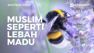 Khutbah Jumat - Perumpamaan Muslim Seperti Lebah Madu (4K) - Ustadz Zaid Susanto, Lc.