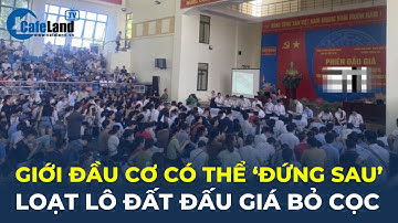 Giới đầu cơ có thể 