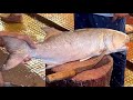 Incredible giant indian salmon fish cutting skills in fish market  fish cutting expert