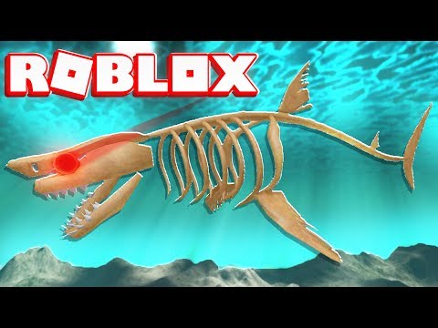 2 Player Megalodon Shark Attack In Roblox Youtube - 2 player megalodon shark attack in roblox youtube