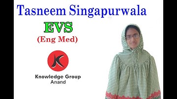 CLASS 2 ENG MED-EVS | CH 10 SAFETY FIRST | SESSION 3 | TASNEEM MAM