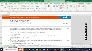 New Perspectives Excel 2019 | Module 6 SAM Project 1b | Sato Instrument Collection