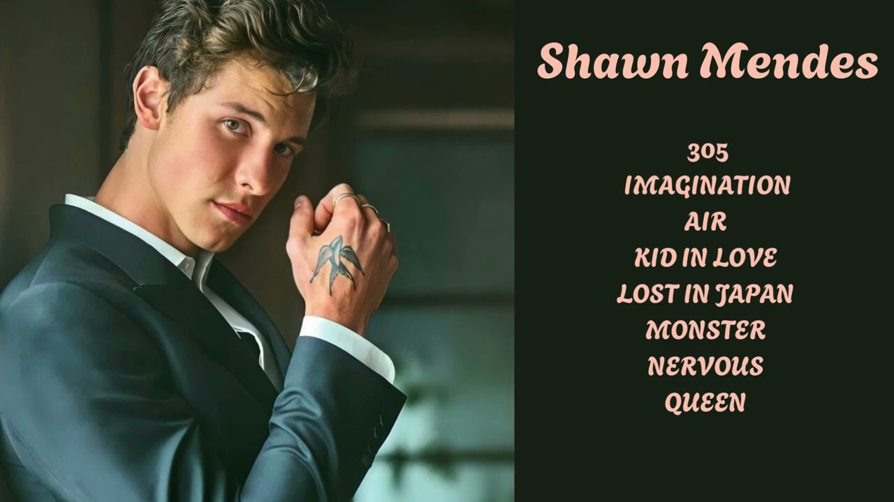 SHAWN MENDES Song Remix | Shawn Mendes New Album Songs| ReMix Lab | NewTrending  Songs