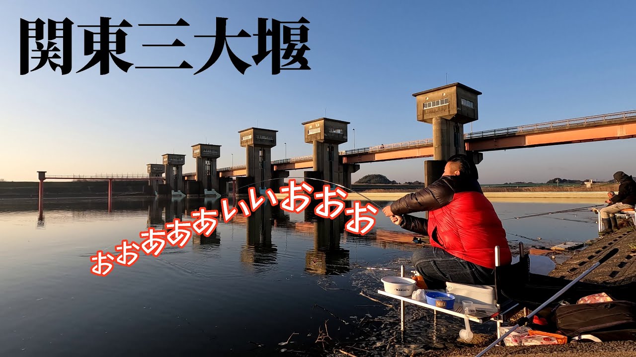 堰が閉まったタイミングはへらぶな釣りの天国【茨城県龍ケ崎市 小貝川 豊田堰】
