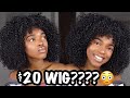 CHEAP $20 CURLY WIG | HERA REMY