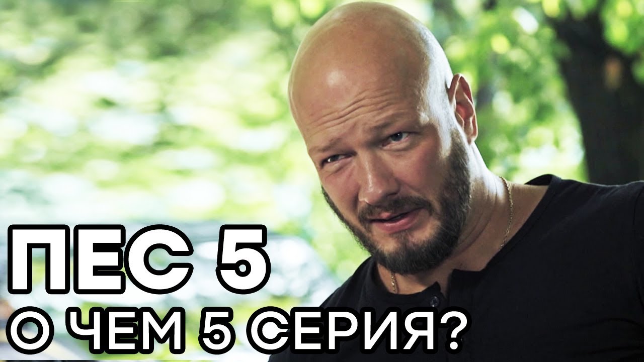 Сериал ПЕС - 5 сезон - 5 серия - О ЧЕМ СЕРИЯ? | СЕРИАЛЫ ICTV - YouTube