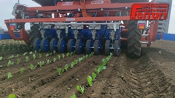 Ferrari Fastblock Transplanter – Square block plants