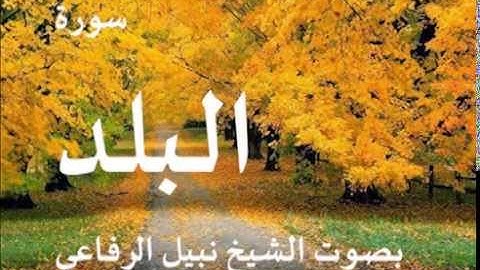 سورة البلد بصوت الشيخ / نبيل الرفاعي 90