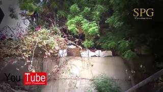 INSTRUMENTAL NEW PALLAPA 2017