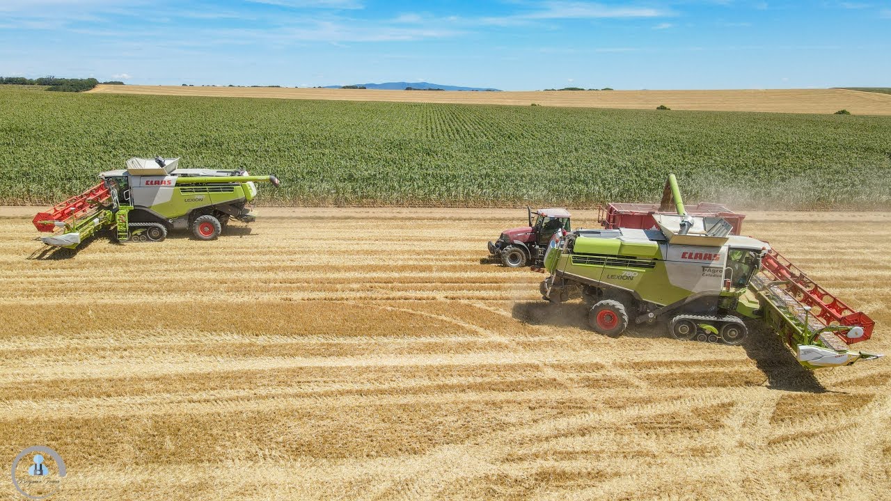 🌾2022 - 3x CLAAS Lexion (2x 780TT, 580) + 7x 🔴 CASE IH traktor, T-Agro Čeľadice