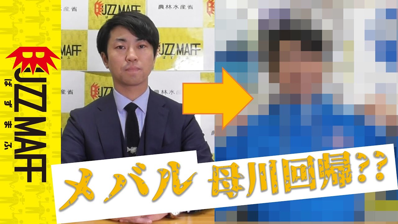 Report] Gyogyo Channel's rockfish return to their home river