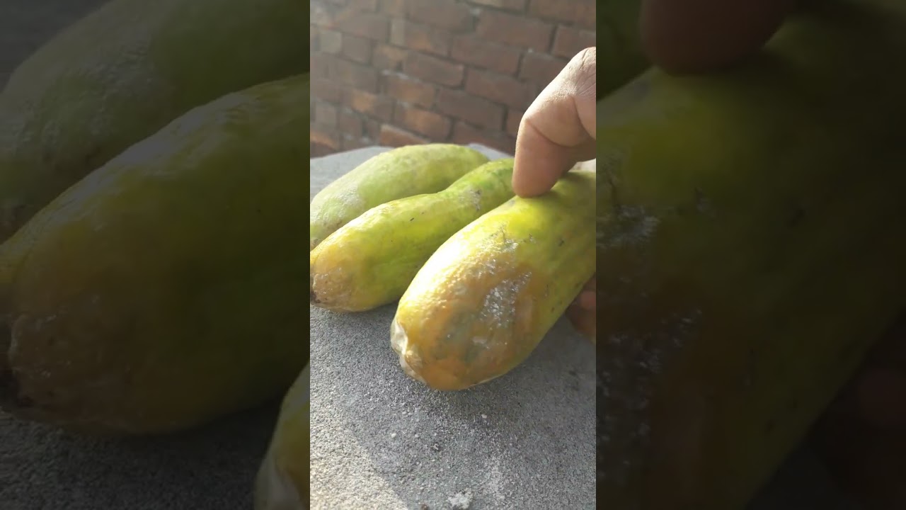 TOXIN   ALERT     😲