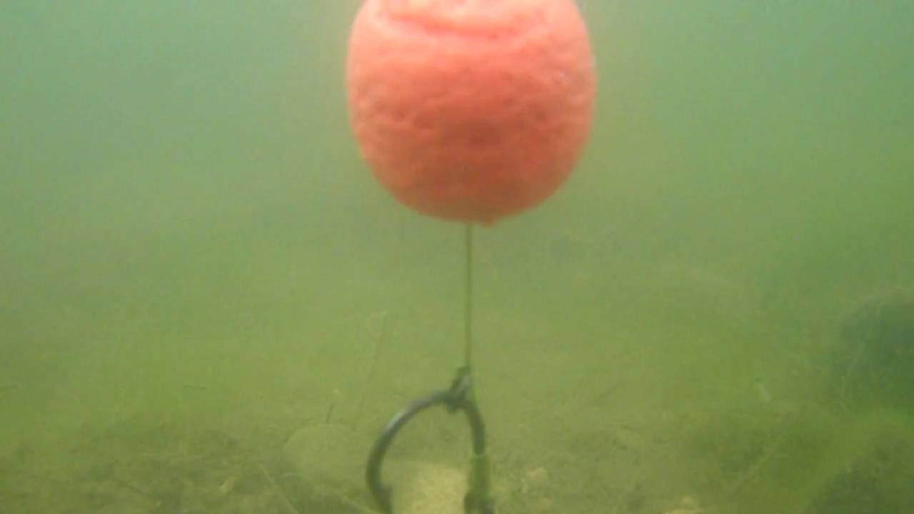 Montage Claw rig - YouTube