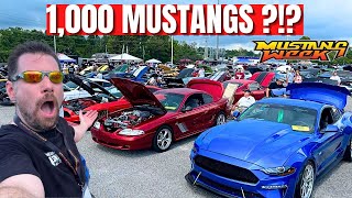 EVERY MUSTANG At Mustang WEEK !? // 2023 Full Show Day Coverage