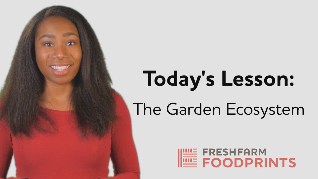 The Garden Ecosystem | FRESHFARM FoodPrints