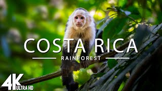 Costa Rica Rainforest 4k  Happiest Country On Earth With Exotic Wildlife | Scenic Relaxation Film