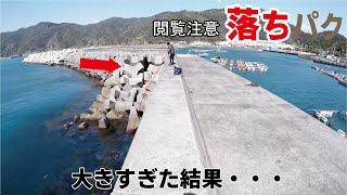 高層堤防の足下から大きな軟体生物を引きずりあげた結果(489話目)