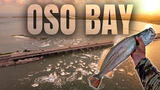 Insane Fishing Under Diving Birds! | Oso Bay, Corpus Christi, TX