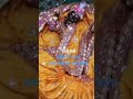 आज बरसाना से राधा रानी के दर्शन