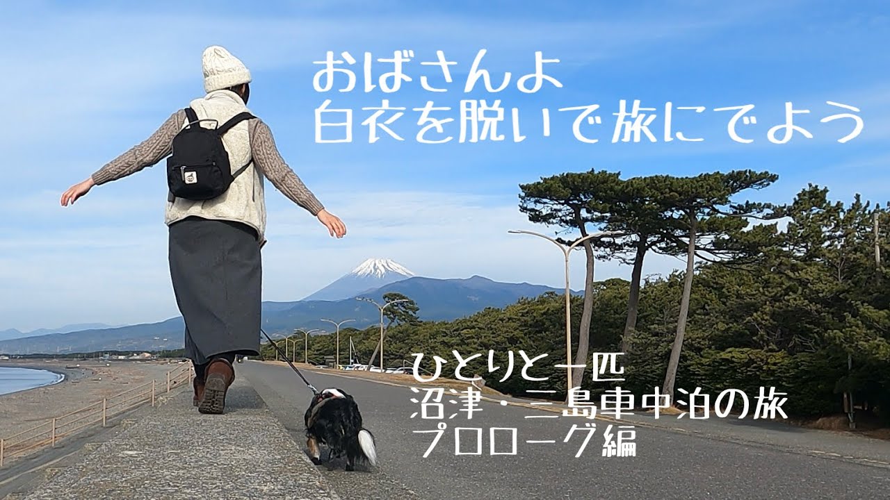 【犬と車中泊の旅】２泊２日沼津・三島の旅のはじまり　道の駅伊豆のへそで車中泊
