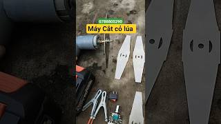 máy cắt cỏ lúa cỏ sân vườn tự chế #shorts #shortvideo #maycatco #chemaycatco