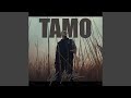 Tamo Tamo