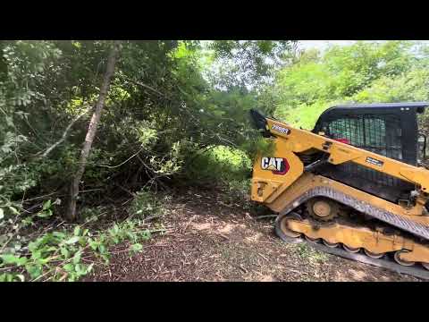 Greg has a mulching update on newly leased farm and the battle with invasive autumn olive trees.