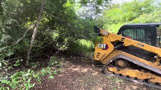 Greg has a mulching update on newly leased farm and the battle with invasive autumn olive trees.