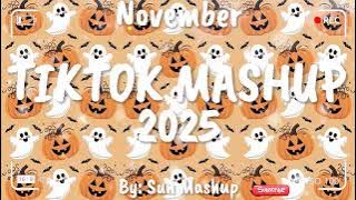 Tiktok Mashup November 💗2025💗 (Not Clean)